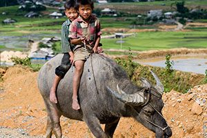 voyage solidaire au vietnam